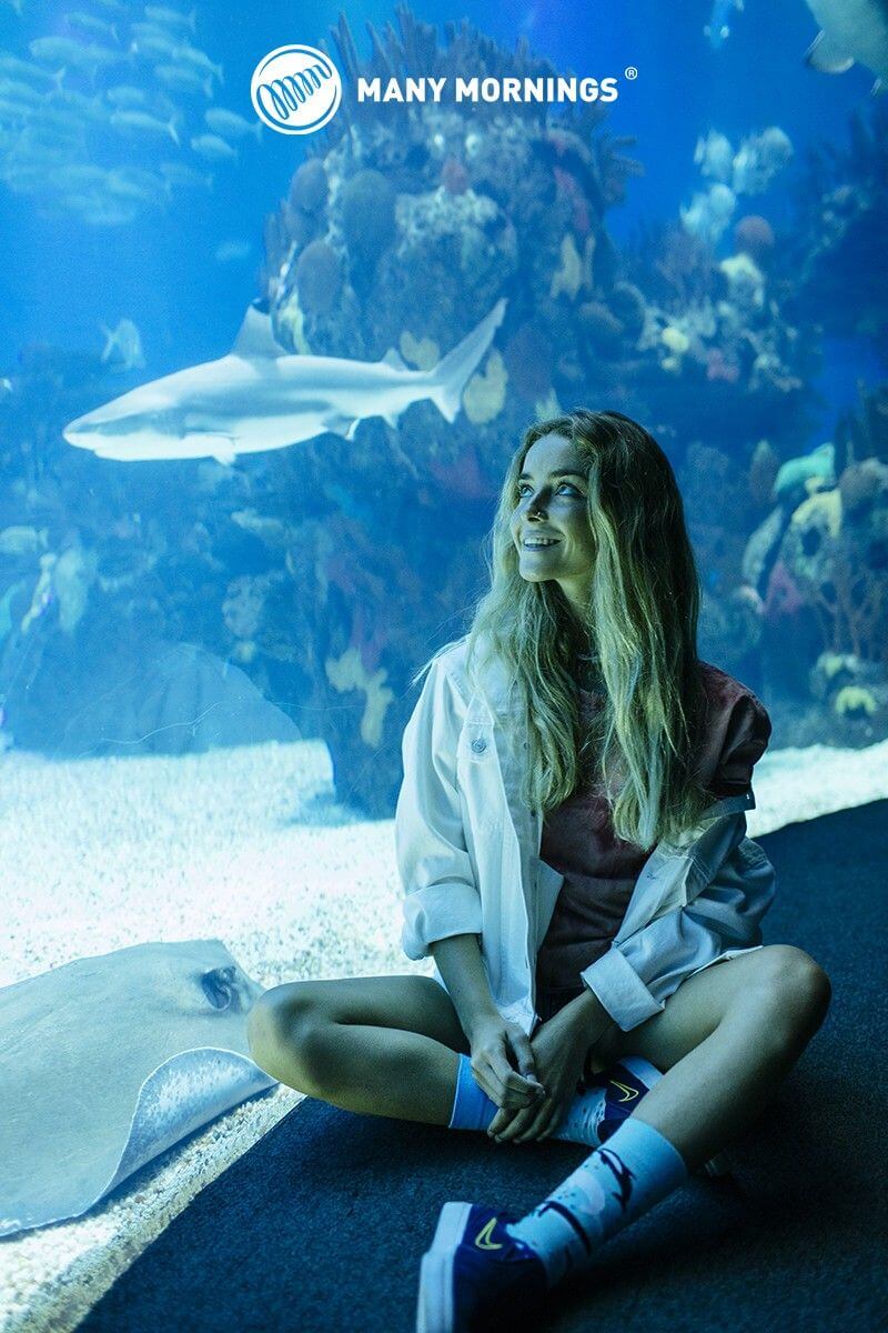 Ocean Life – Bild 4