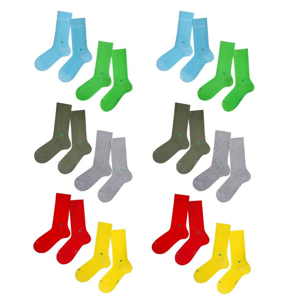 Elton 12-Pack – Bild 3
