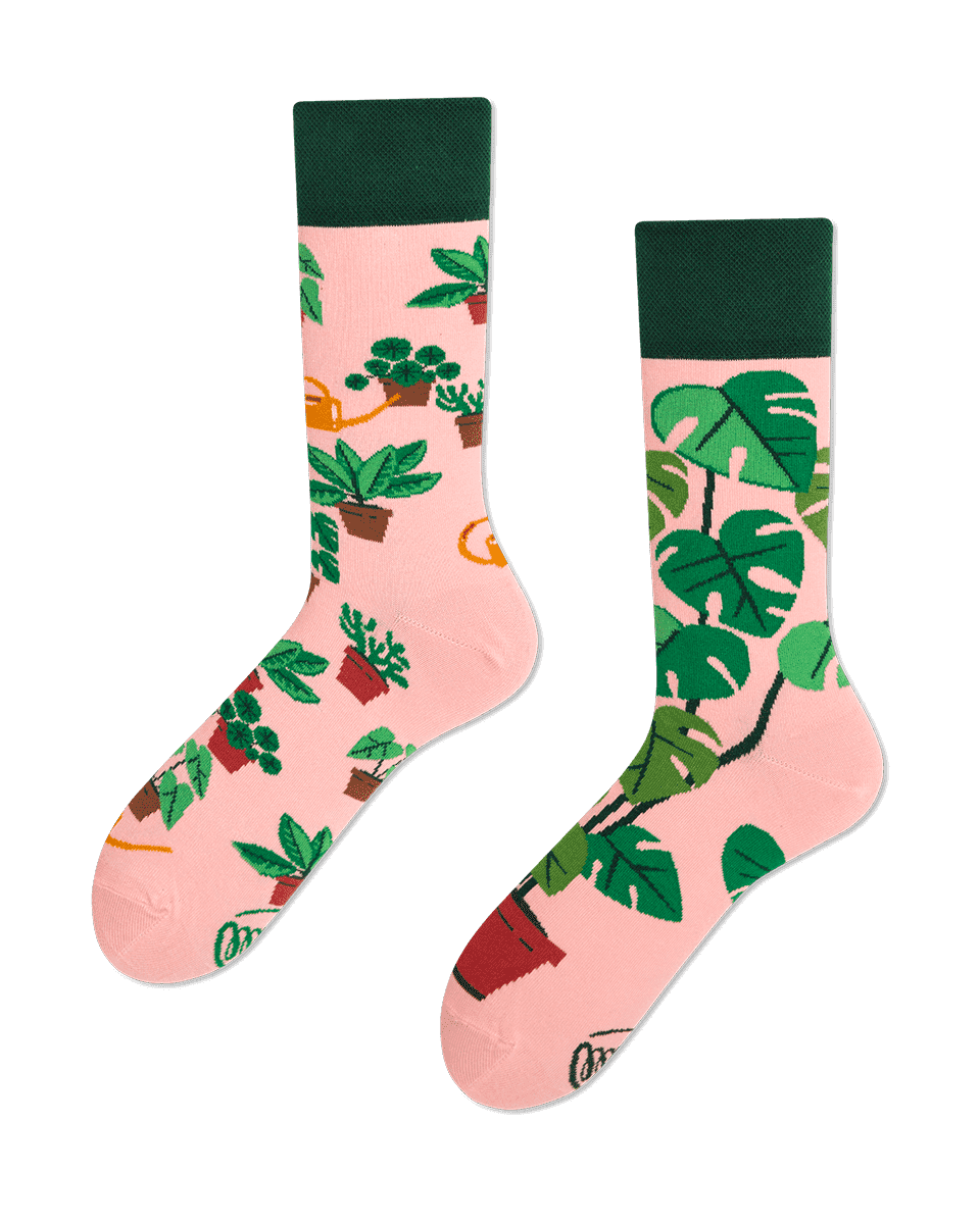 Plant Lover